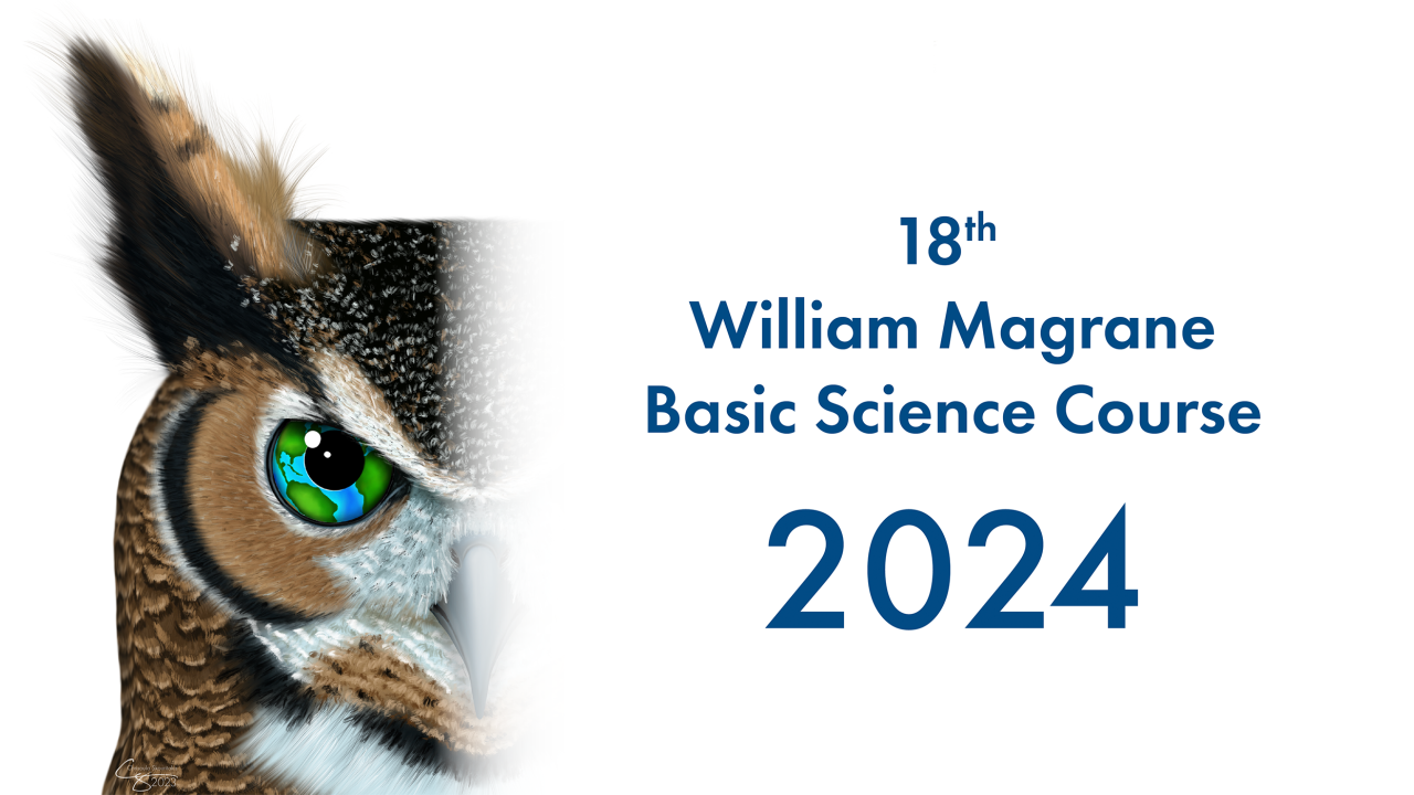2023 BSC Website Logo