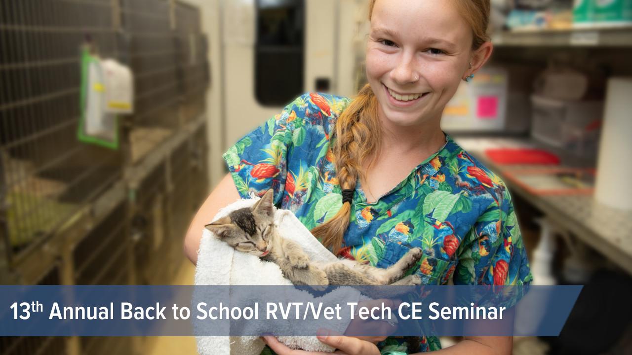 vet professional with kitten
