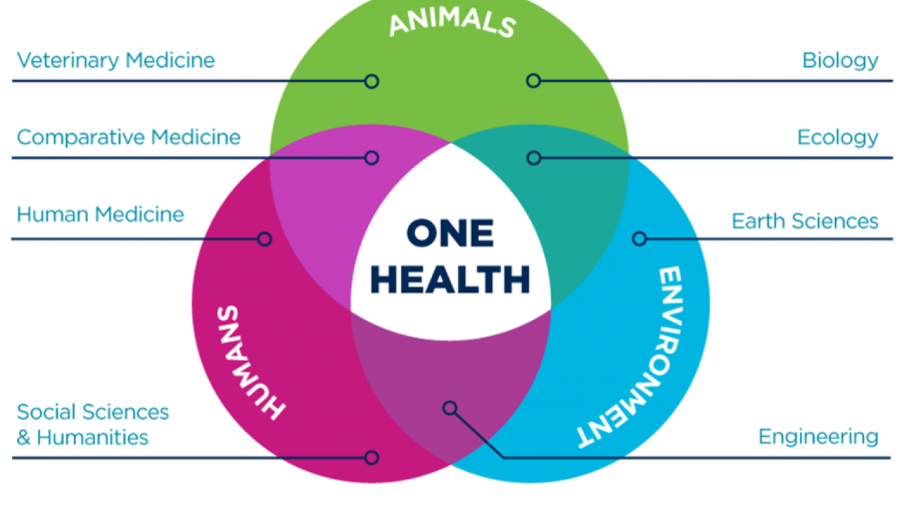 UC Davis OHI One Health Venn Diagram