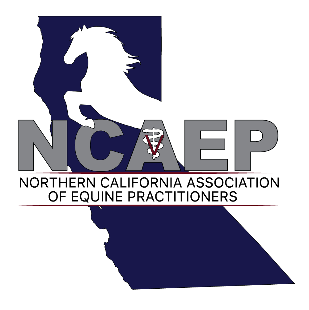 NCAEP Logo