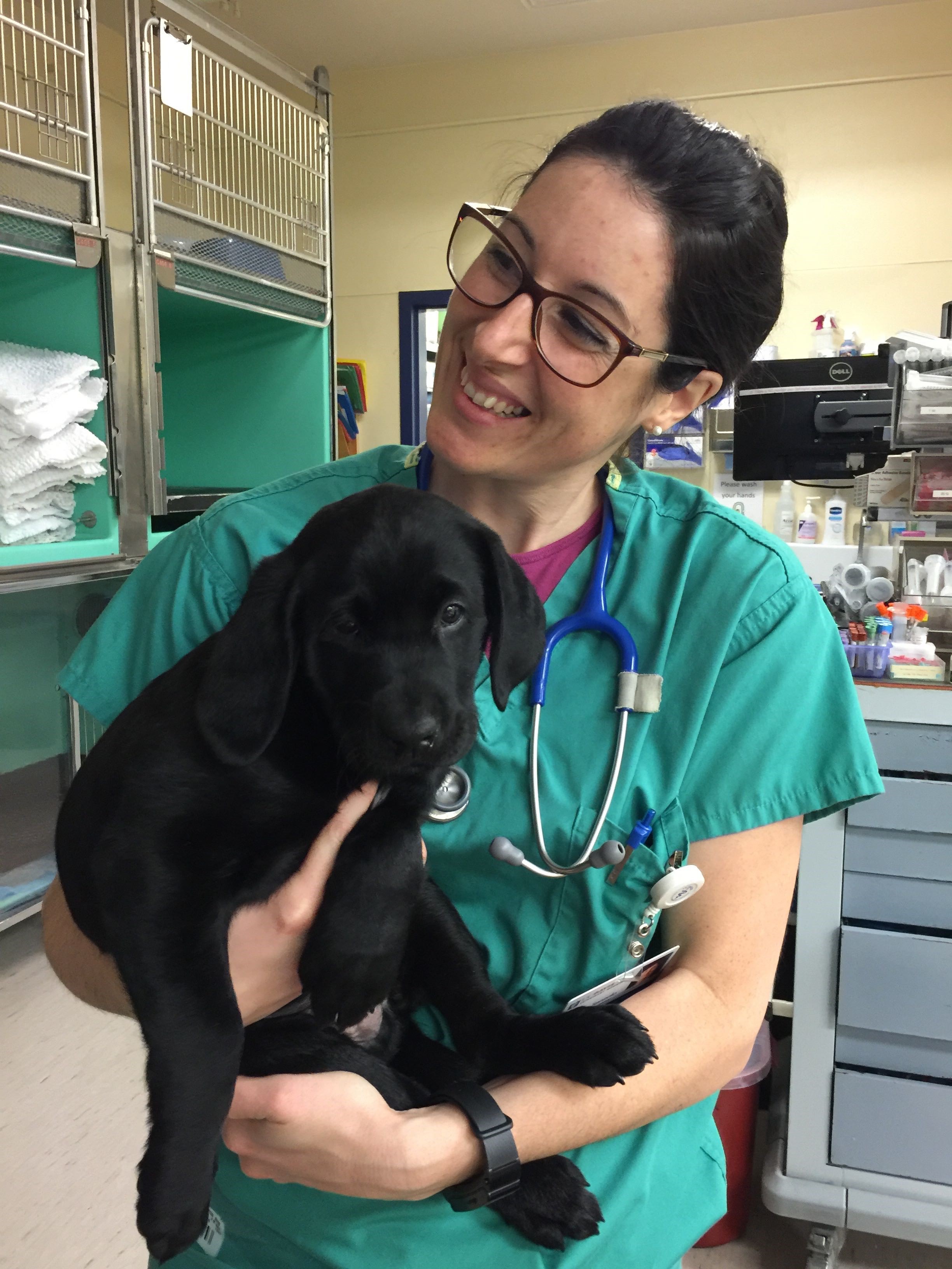 RVT holding at dog at UC Davis School of Veterinary Medicine