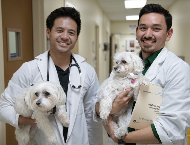 2 people holding dogs