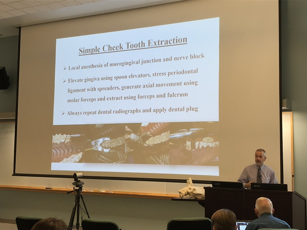 Lecture on Check Took Extraction