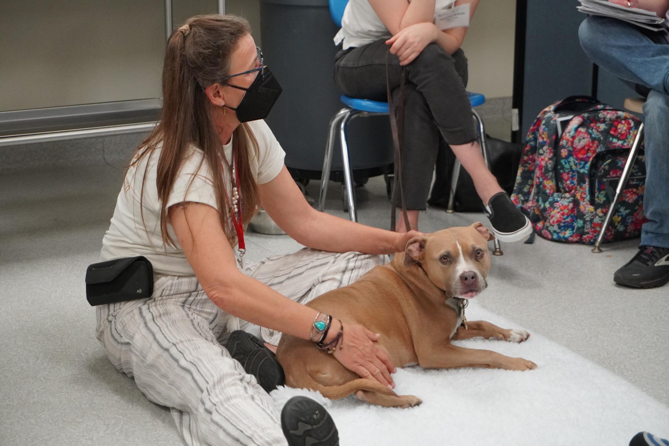 dog and veterinarian