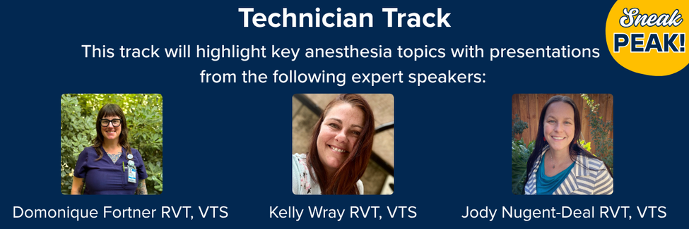 Early Look at the Technician Track