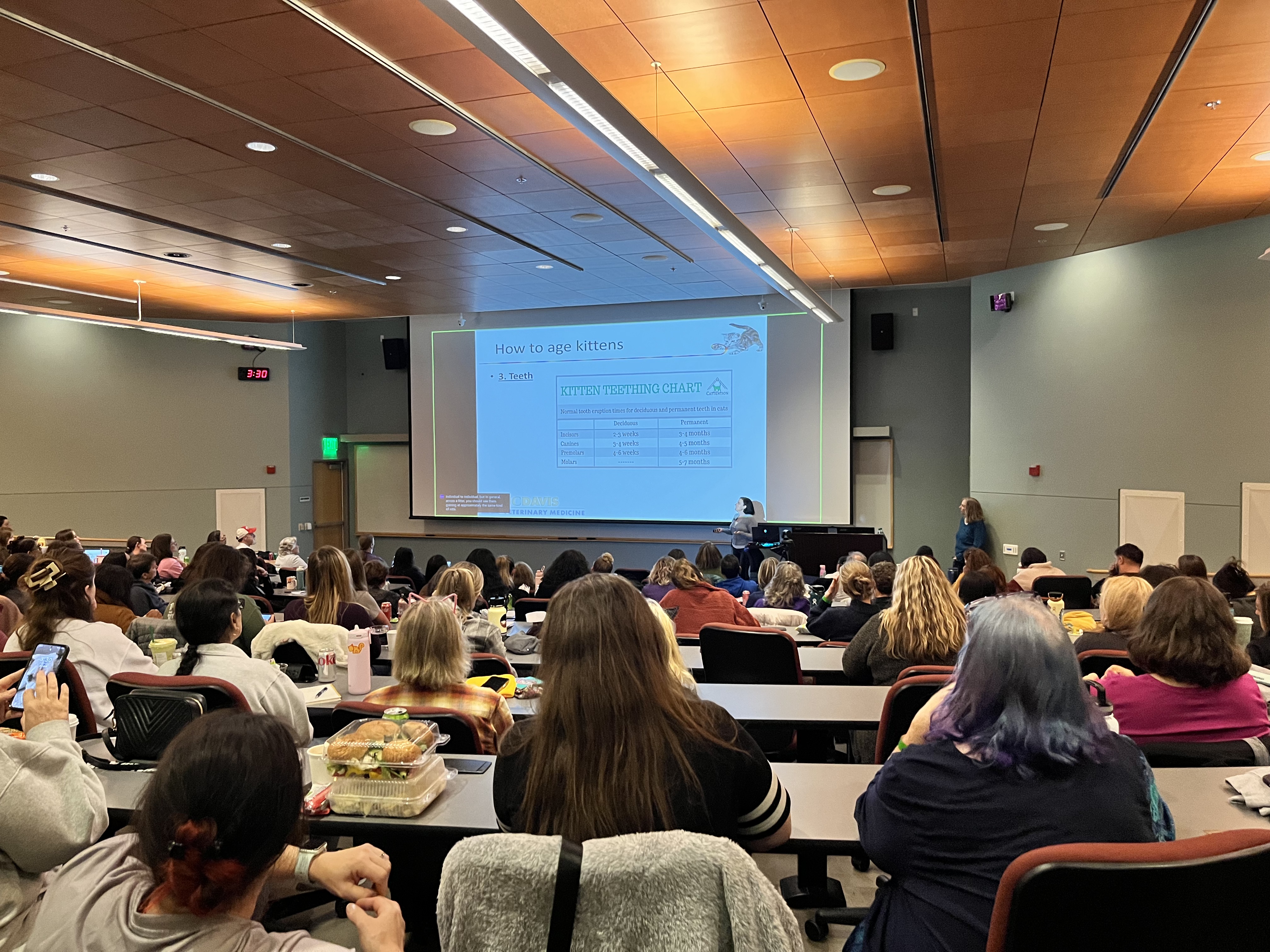 People learning about how to age cats