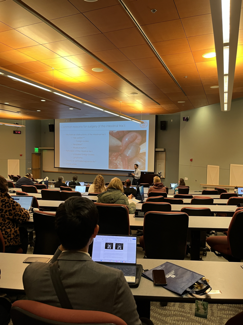 people listening to lecture