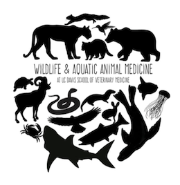 WAAM Logo