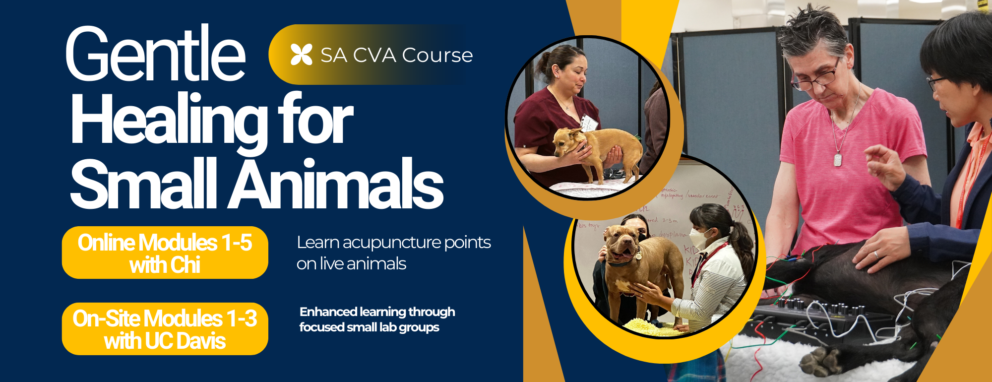SA CVA Banner