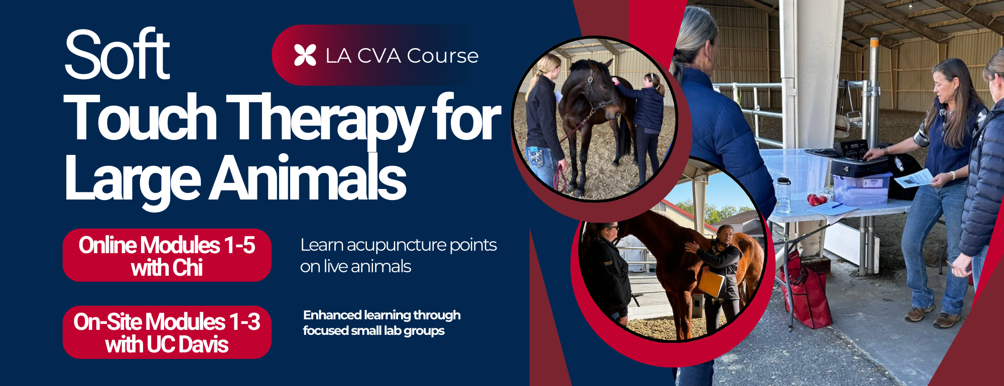 LA CVA Banner