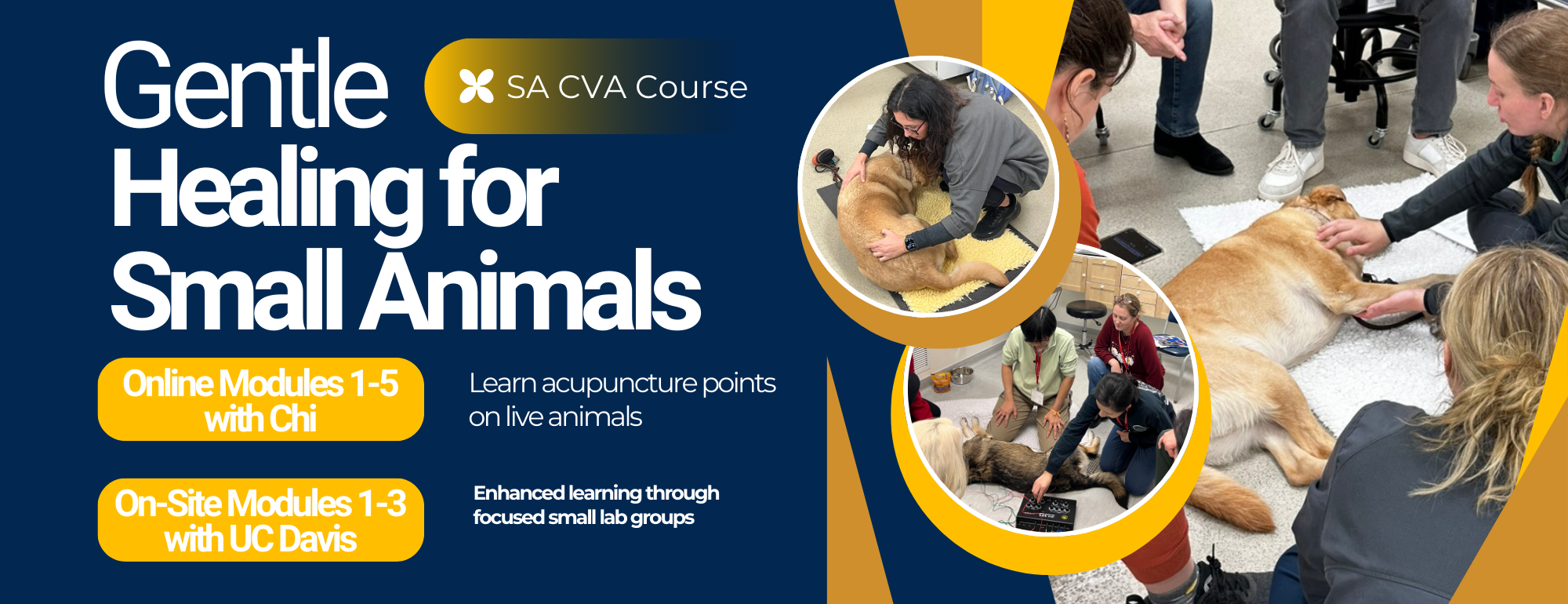 CVA Banner