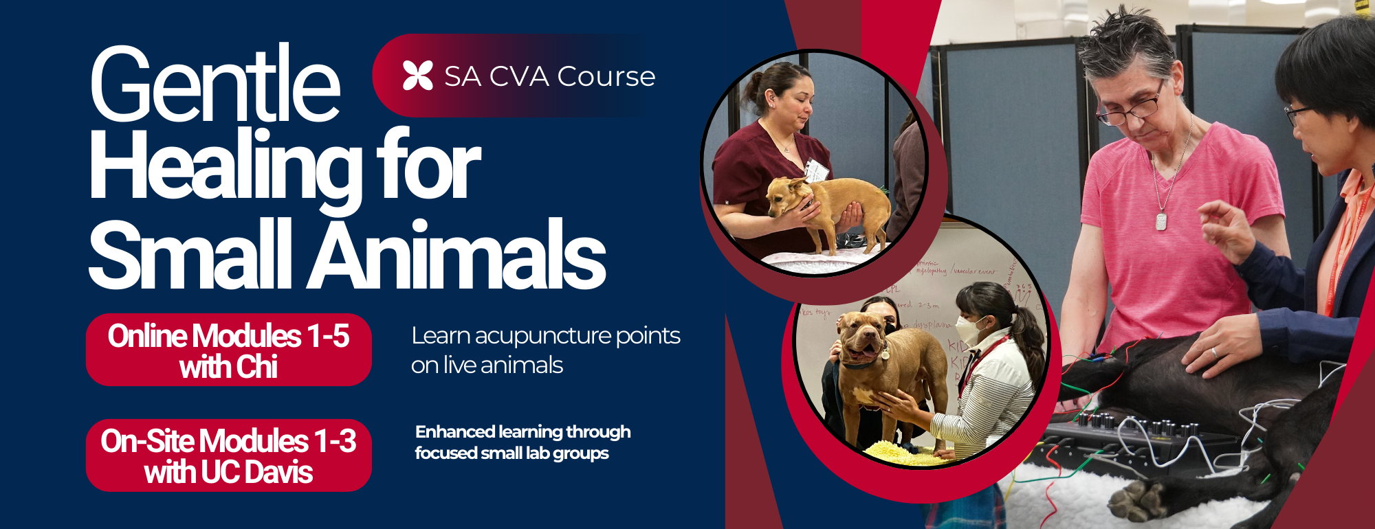 SA CVA Banner