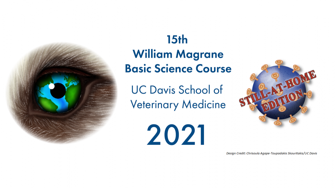 Basic Science Course logo with dog eye and virus