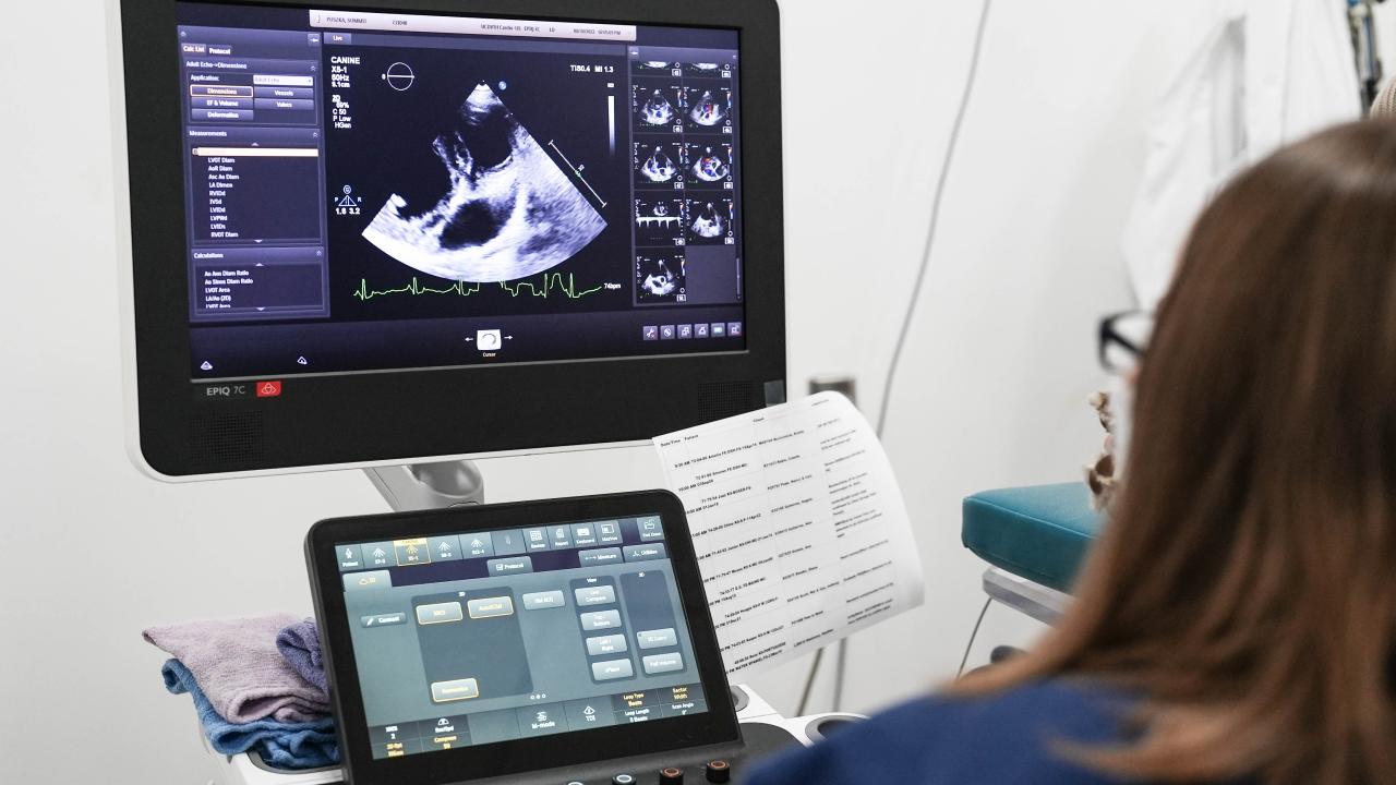Cardiology Patient