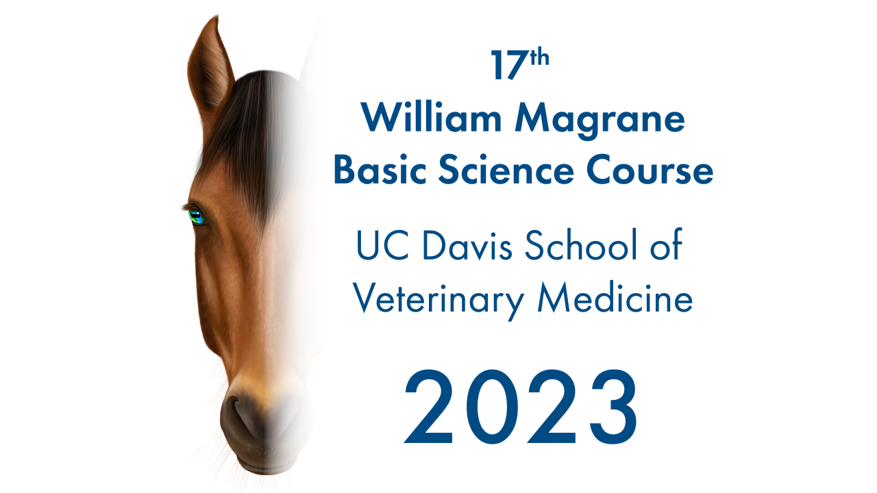 2023 BSC Website Logo