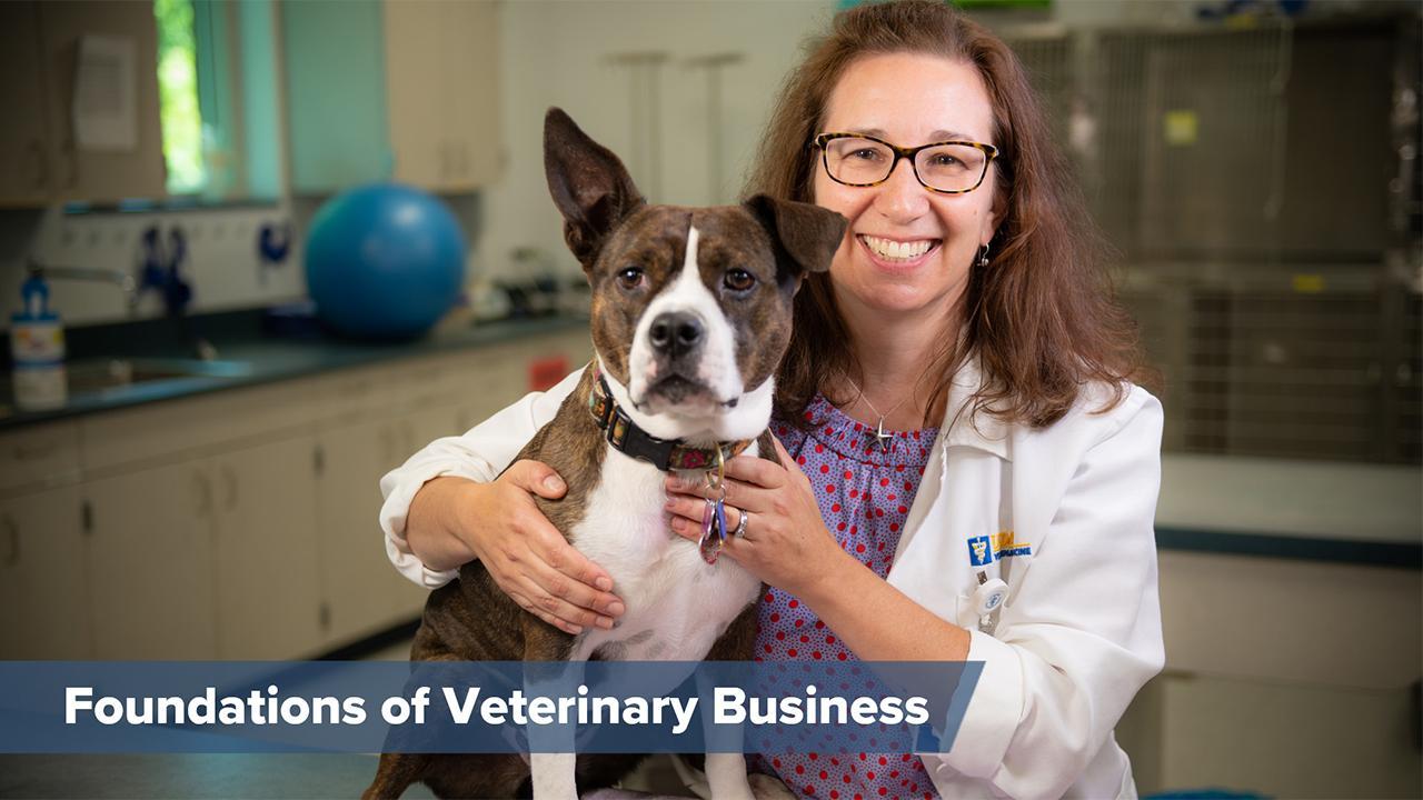 Foundations of Veterinary Business