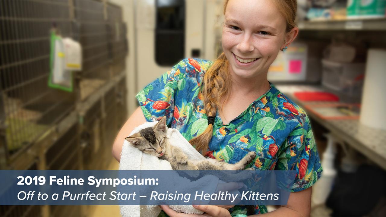 UC Davis Registered Veterinary Technician Emma Hewitt holds a kitten after surgery.