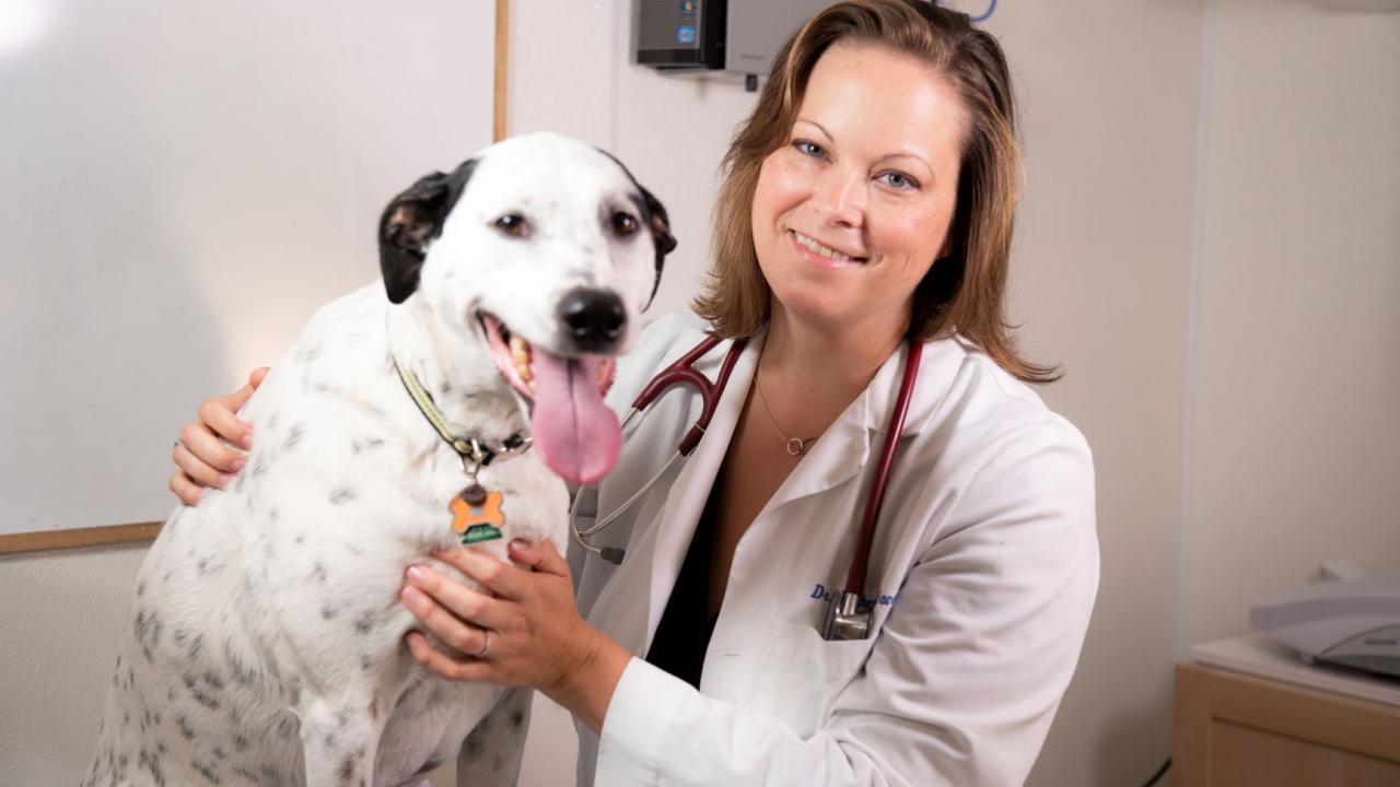 An Evening With Vet Med A Client Educational Series Center For Continuing Professional Education Ccpe Laura and kana are out walking when they come across maria. an evening with vet med a client