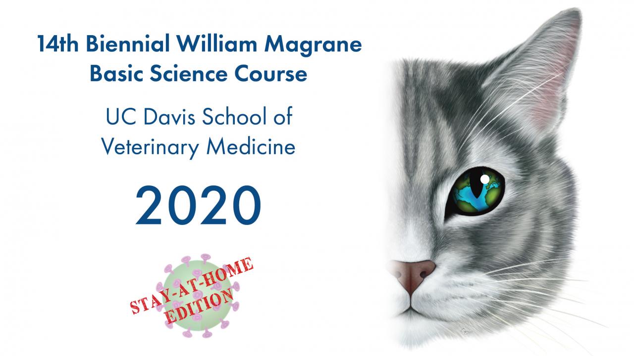 the 14th biennial acvo william magrane