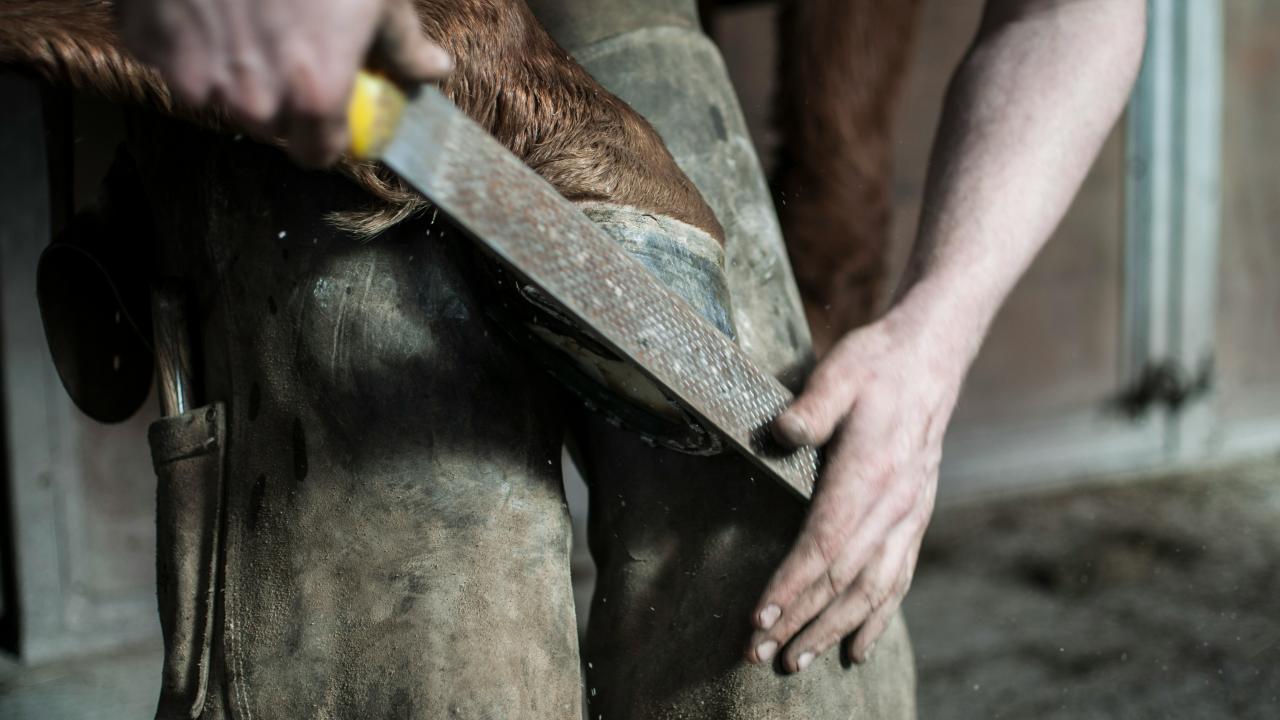 Hands rasping a wooden clog in a dusty woodworking workshop