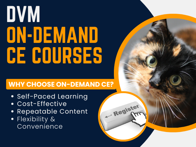 DVM COURSES