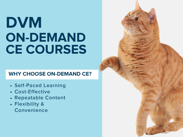 DVM On-Demand