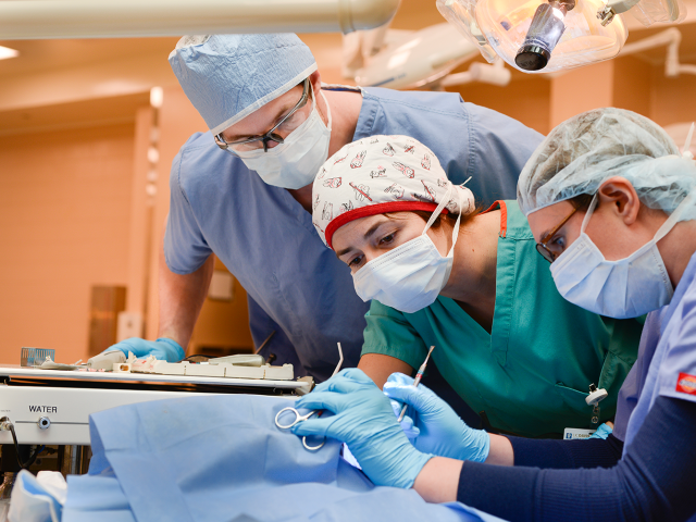 Dentistry Pic