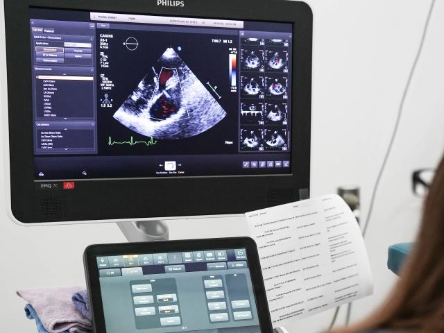 Cardiology Pic