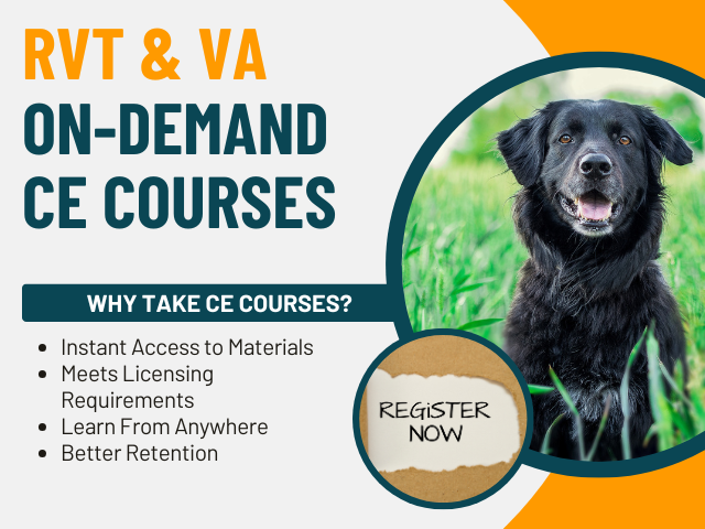 RVT Courses