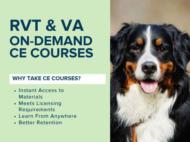 RVT&VA On-Demand