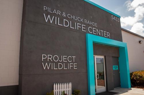 Project Wildlife