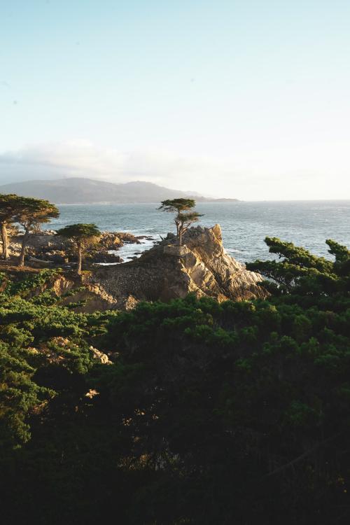 Monterey