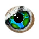 2024 BSC Eye