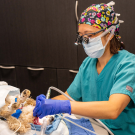 Dentistry Surgery