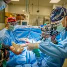 Dental Surgery